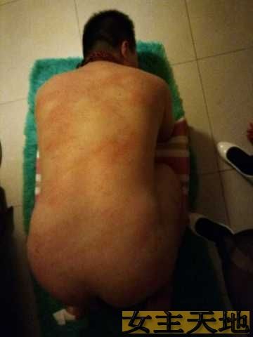 刑奴，君君女主的开心果