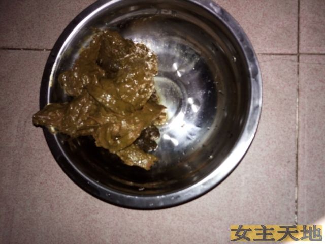 拉黄金到狗盆儿