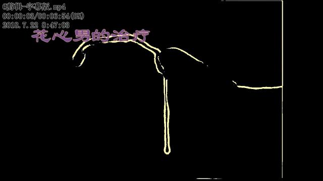 《花心男的治疗》中文，专业配音哦