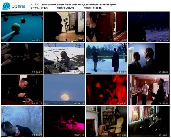 Cricket Snapper电影，M男看到有女王招奴，结果把自己调教的很惨