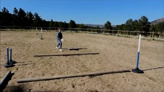 国外节目，女主参加娱乐节目骑马术用男友当马训练