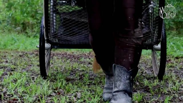 国外节目，训马骑马是很好的有氧运动男朋友可就遭罪了