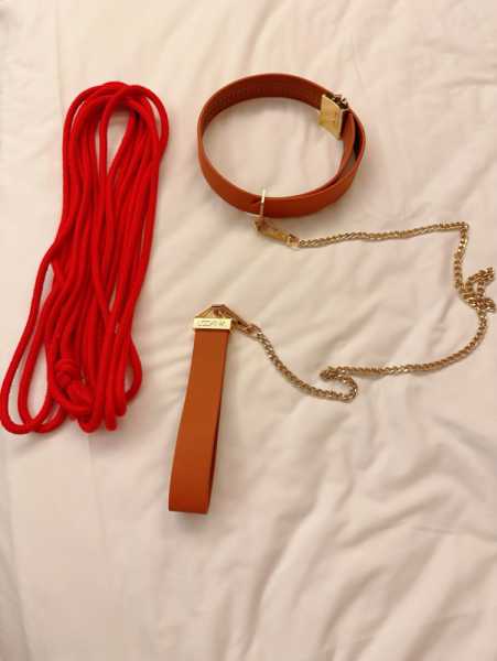 香港阳光女S巡游