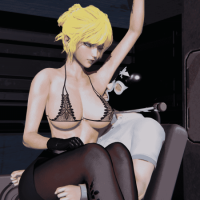 【游戏分享 中文 补档】S&M航空1.0 完结版