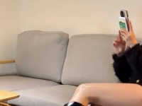 长靴调狗，坐标广州