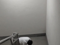 一头贡畜求着过来面贡