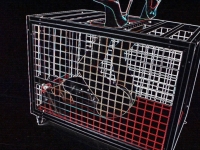 多功能狗笼强制束缚 训练奴性 加速驯服 快速奴化 加固贱....