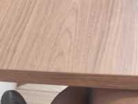 （网）不一样的玩法 户外视频玩狗狗