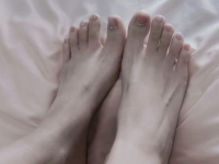 深圳北附近洛洛主