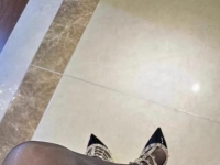 天太冷给狗儿子们的鸡巴都冻缩了吗