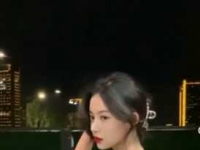 杭州的小狗狗滚过来服侍主人