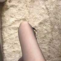 你不论什么时候都是主人的奴