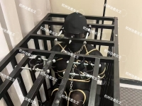 小狗不听话，等待你的就是冰冷的笼子囚禁