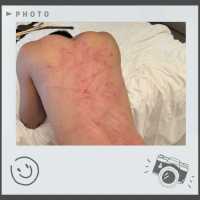 北京蓝蓝s 《主人，是什么味道？上》