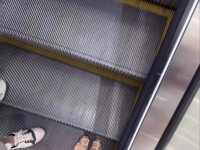 （网）下贱傻逼狗 下贱垃圾畜生