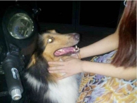 1—4等于几？？