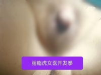 胭脂虎女医，拳开发