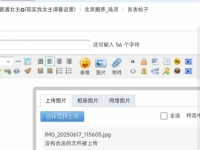 不是我不想发帖