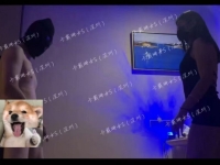 贱狗非要的踢档挑战，最后不行了