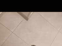 穿着jk当“母狗”就这么爽？