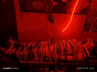 木乃伊束缚. 强制