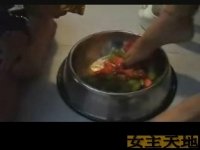 【国产】：自购分享，毒蝎女王调教家狗，玉足踩食物喂狗，黄金喂食！