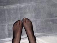 狗狗们喜欢黑丝吗