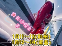 今年最后一次湖北巡游一月（11~17）