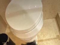 红金马桶体验
