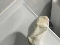 主人的酸臭白袜 想套头上闻吗