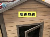 南京专业教室图片，有炮机，有圈养狗笼