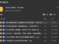 90部恋足足交片合集（99.69GB）