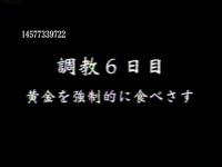 【8.6更新】家畜人監禁黄金飼育   1小时11分完整版