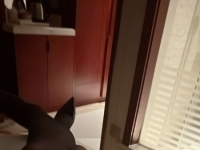 坐标广州，预约有优惠