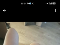 迫不及待的钻进主人的胯下