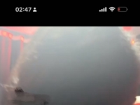 圈养人厕，吃猫屎