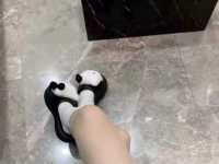 （网）跪下来好好伺候主人贱畜生