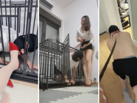 【羽薇】圈养狗笼羞辱调虐【完整版】