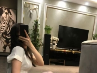 广州调狗，预约有优惠