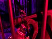 广州和戴比贝儿双主提前联系