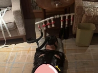 沈阳木乃伊强制精牛