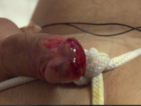 【中日资源】穿刺/重口/调教/39部