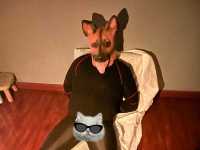 震动肛塞，电击