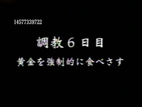 【日本资源】家畜人監禁黄金飼育系列92   1小时11分完整版