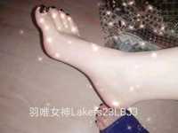 狗狗滚过来舔菊花，在杭州