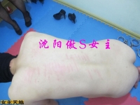 沈阳傲S调教图片原创（我是照片里的M）