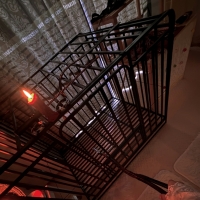 笼子空的 快进去