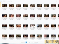 Divinebitches系列超大合集150GB