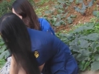 2个极品制服肉丝美腿MM