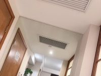 上海。合肥